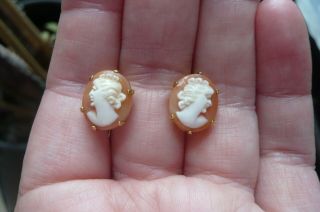 Vintage Shell Cameo And Birmingham 9 Carat Gold Earrings Date 1967