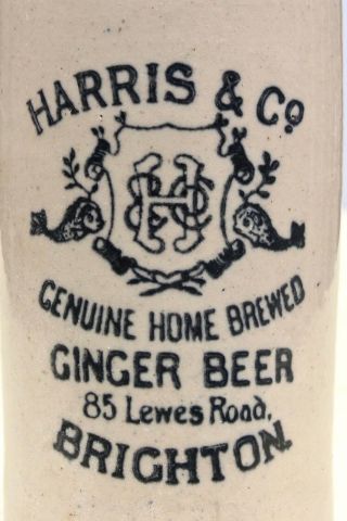 Vintage 1900s Harris &co Brighton Fish Pict Home Brewed Ginger Beer Stone Bottle
