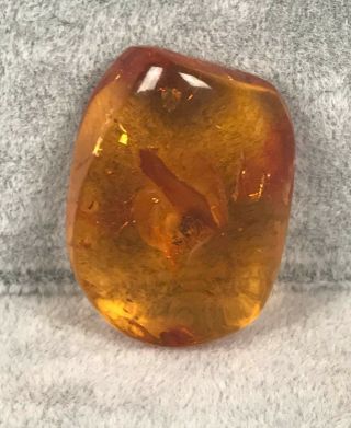 Vintage Amber Cabochon W/ Spider Inclusion - 1.  25 " X 7/8 " X 3/8 " 5.  6g