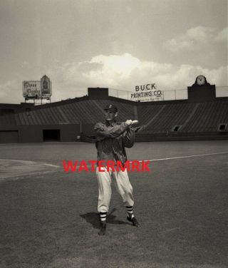 1954 Ted Williams Boston Red Sox Al Hof 8x10 Photo ^ &^