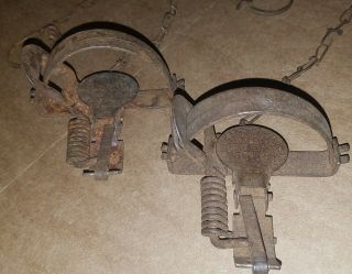 2 Vintage Gibbs King Bee No 0 Coil Spring Traps Trapping Antique