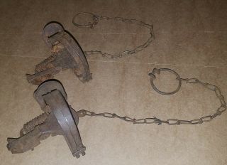 2 Vintage Gibbs King Bee No 0 Coil Spring Traps Trapping Antique 2