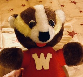 Vintage Wisconsin Mascot Bucky Badger Animal Plush 1972 Collectible 12 Inches