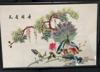 Antique Vintage Japanese Asian Silk Embroidered Peacock Birds Art Knit Handmade