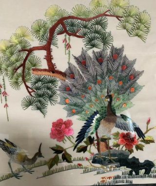 Antique Vintage Japanese Asian Silk Embroidered Peacock Birds Art Knit Handmade 3