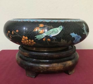 Vintage Chinese Bronze/copper Cloisonné Black Enamel Bird Butterfly Bowl 12”