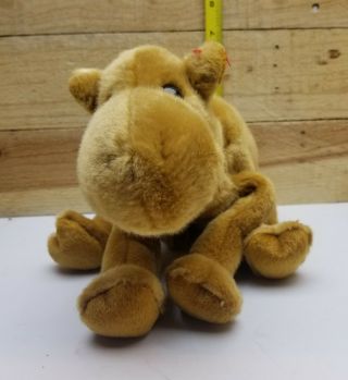 Ty Beanie Buddy Humphrey The Camel Vintage 1998 Plush Stuffed Animal Soft