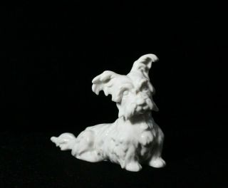 Vintage German White Scottish Scotty Terrier Dog Porcelain Figurine 4 1/2 " High