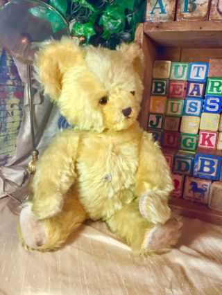 13” Antique 1930s Knickerbocker Gold Mohair Teddy Bear,  Glass Starburst Eyes