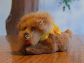 Vintage Miniature Mohair Terrier Dog For Antique Doll German Label