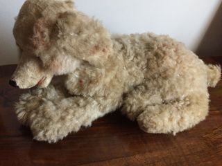 Antique Steif Dog Toy Collectible