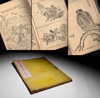 Kawanabe Kyosai Woodblock Printed Hawk Illusts Book 19c Japanese Meiji Antique