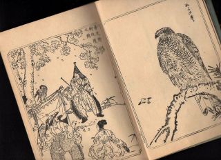 KAWANABE KYOSAI Woodblock Printed Hawk Illusts Book 19C Japanese Meiji Antique 2