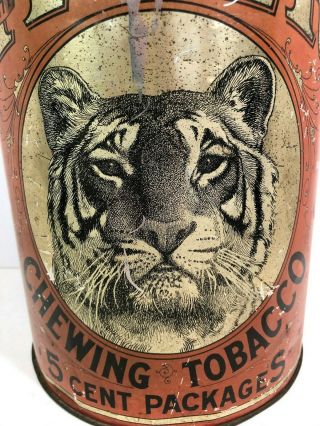 Vintage Tiger Chewing Tobacco Tin Lorillard Co 1/3 Gross 48 5¢ Packages