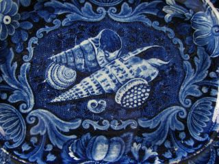 Antique Dark Blue Staffordshire Shells pattern Platter As - Is circa 1825 2
