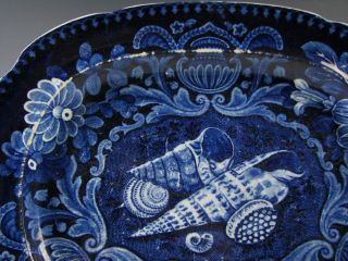 Antique Dark Blue Staffordshire Shells pattern Platter As - Is circa 1825 3