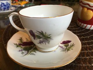Vintage Tea Cup & Saucer Duchess Bone China Highland Beauty