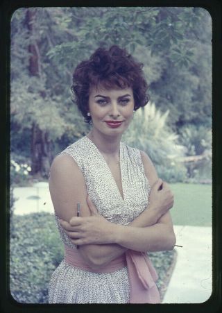 Sophia Loren Rare Vintage 1950 