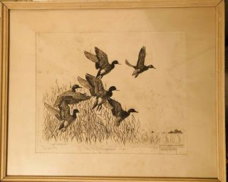 Vintage 1940 Drypoint Etching “up And Out” By Richard E Bishop Signed