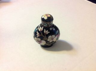 Rare Collectible Vintage Handmade Handpainted Chinese Cloisonne Snuff Bottle