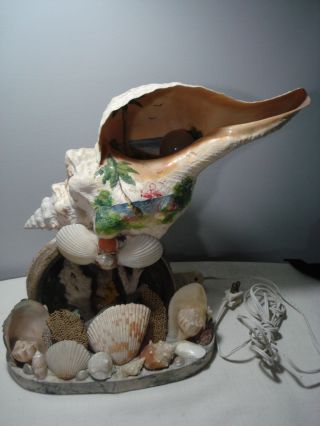 Vintage.  Very Large.  Conch Shell.  Hand Painted Flamingos.  Lamp
