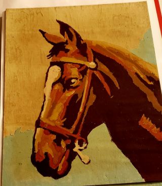 Vintage Paint By Number Horses Set Of 2 Completed Painted 8 X 10