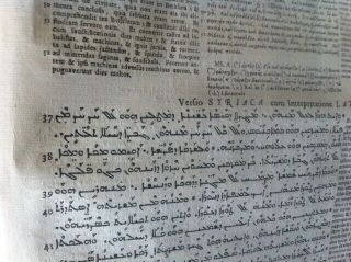 1657 Polyglot Bible Greek Syriac Latin Hebrew English Set