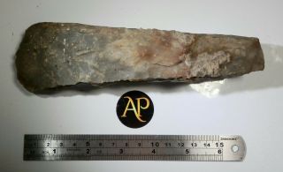 Rare Large Neolithic Flacked Flint Axe - Head North Norfolk Coast - Brancaster