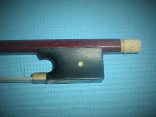 Unusual Antique Vintage Violin Bow With Bone Screw & Extra Small Dot On Frog