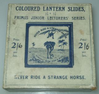 Never Ride A Strange Horse - Antique Boxed Set Of Magic Lantern Slides C1890