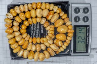 32.  1 G 58cm Natural Baltic Sea Amber Beads&necklace Eggyolk Antique Butterscotch