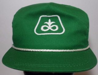 Vtg 1980s Pioneer Farm Corn Seed Advertising Agriculture Snapback Rope Hat Cap
