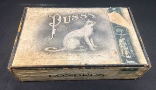 C Very Rare Antique Pussy Cigar Box 5 Cent Scarce 1908