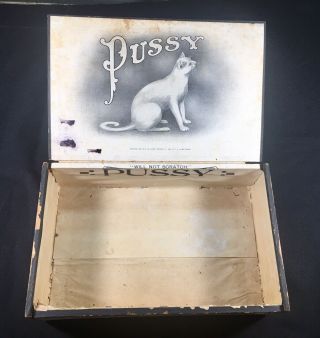 C VERY RARE Antique Pussy Cigar Box 5 Cent SCARCE 1908 3