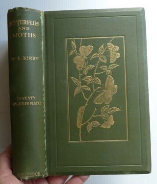 Butterflies And Moths Of The United Kingdom By W,  Egmont Kirby