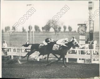 1929 California Tijuana Race Track Horses Close At Finish Press Photo