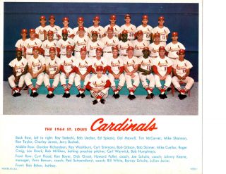 1964 St.  Louis Cardinals 8x10 Team Photo Missouri Baseball