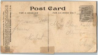 Cracker Jack Bears No.  15 Teddy Roosevelt with Gun,  Tree Vintage Postcard W10 2