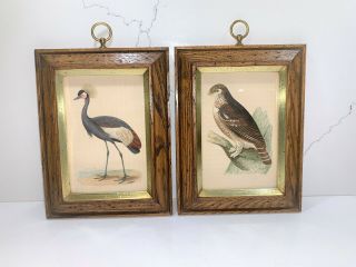 Vintage Set Of 2 Wall Art Framed Prints Birds Mid Century Home Decor By Fpc Nyc