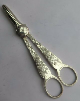 Antique English Silver Grape Scissors C.  1910