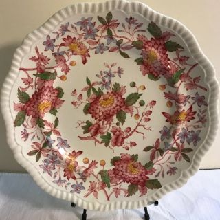 Copeland Spode “spode’s Aster” (gadroon) Vintage Dinner Plate 10 3/4” Scalloped