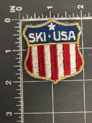 Vintage Ski Usa Patch Shield Crest Flag United States Winter Sports Olympic Team