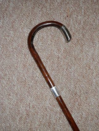 Antique Partridge Wood Walking Cane With H/m Silver Collar & Crown B 