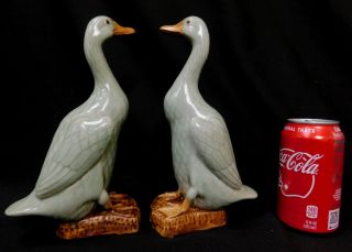 RARE Antique Chinese porcelain export duck figurines geese 2