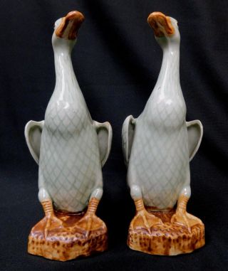 RARE Antique Chinese porcelain export duck figurines geese 3