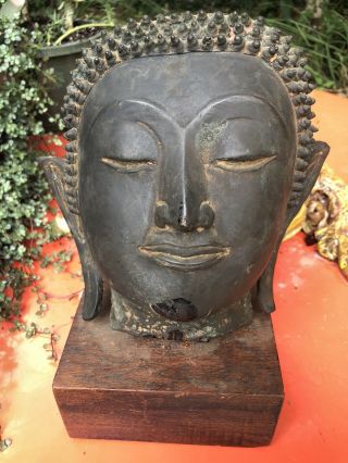 Old Chinese / Siam Thai / Se Asian Bronze Buddhist Buddha Head Bust Fragment