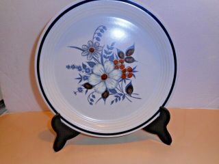 (5) Vintage Town & Country Stoneware Dinner Plate Blue Ridge Pattern 10.  5 "