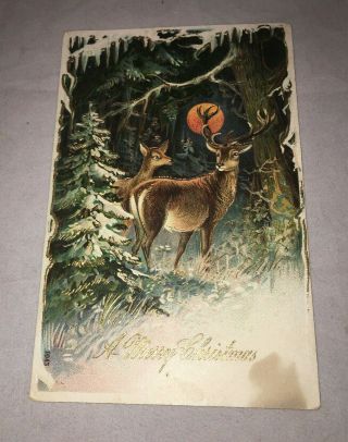 Vtg Christmas Embossed Postcard Deer Buck Doe In Forest Blood Moon Germany