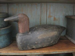 Old Primitive Great Paint Wood Duck Decoy Old Folk Art American Country Find
