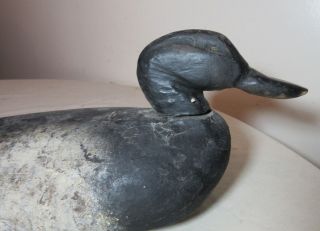 antique 1800 ' s hand carved wood Folk Art east coast black duck decoy sculpture 2